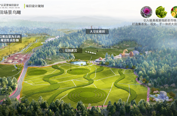CDAD作品|遂寧云靈里片區(qū)鄉(xiāng)村振興建設項目：千畝良田中的“一粒豆事”