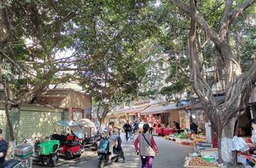 拆墻并院、物業(yè)公開，送仙橋片區(qū)營造“最佳鄰里氛圍”